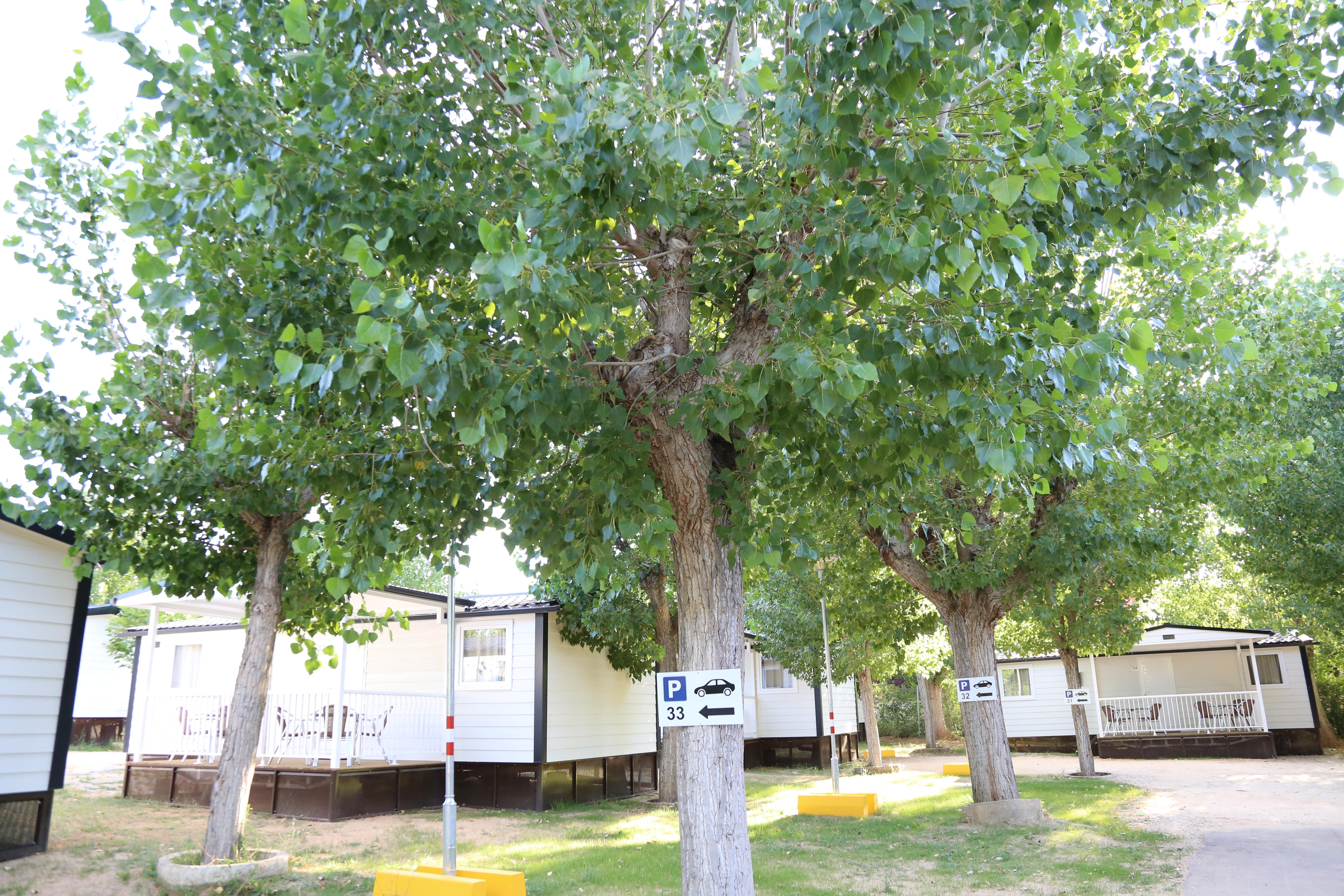 Bungalows Y Mobil Homes Camping Regio Santa Marta de Tormes Exterior foto
